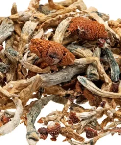 Dose Psilocybin